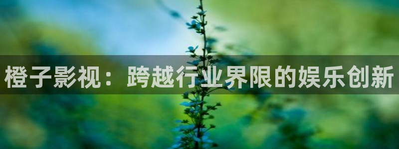 黑螞蟻影院免費電視劇：橙子影視：跨越行業界限的娛樂創新