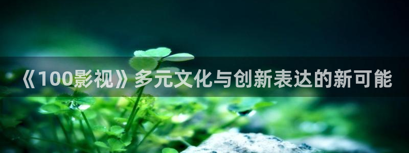 黑螞蟻電影院：《100影視》多元文化與創(chuàng)新表達的新可能